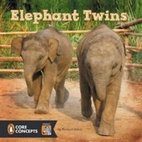 Enlarge image Cover: Elephant Twins - G P Putnam's Sons