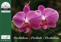 Cover: Orchideen, Orchids, Orchid&ecirc;es - Admos Media