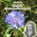 Cover: Novalis - Hierax Medien