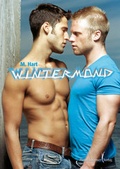 Cover: Wintermond - Himmelst&uuml;rmer
