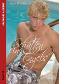 Cover: Schatten eines Engels - Himmelst&uuml;rmer