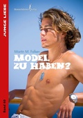 Cover: Model zu haben ? - Himmelst&uuml;rmer