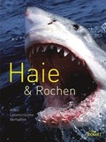 Cover: Haie & Rochen - KOMET