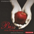 Cover: Bella und Edward 1: Biss zum Morgengrauen - Silberfisch