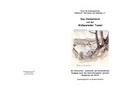 Cover: Das Himmelreich und derm Walkenrieder Tunnel - Papierflieger