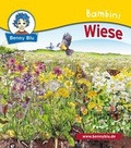 Cover: Bambini Wiese - LAMA