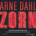 Cover: Zorn (Opcop-Gruppe 2) - OSTERWOLDaudio