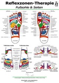 Cover: Reflexzonen-Therapie Mini-Poster - Fu&szlig;sohle & Seiten DIN A4 - Hawelka, Uwe