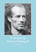 Cover: Hier ist die Wahrheit an und um Bruno Gr&ouml;ning - H&auml;usler, G