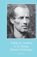 Cover: Hier ist die Wahrheit an und um Bruno Gr&ouml;ning - H&auml;usler, G