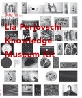 Cover: Lia Perjovschi - Verlag f. mod. Kunst