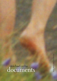 Enlarge image Cover: documents - Bibliothek der Provinz