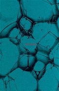 Cover: Ecstasy - Bilger, R