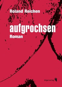 Enlarge image Cover: Aufgrochsen - Bilger, R