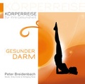 Cover: K&ouml;rperreise f&uuml;r Ihre Gesundheit - Gesunder Darm - Lichtpunkt Records