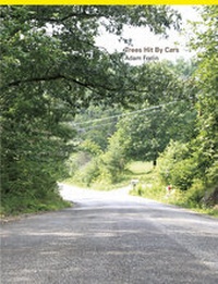 Enlarge image Cover: Trees Hit By Cars - edition .ps.