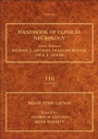 Cover: Brain Stimulation - Elsevier