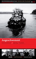 Cover: Angeschwemmt - Hoanzl