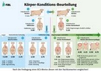 Enlarge image Cover: Körper-Konditions-Beurteilung - Forschungsinstitut für biologischen Landbau FIBL