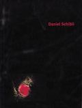 Cover: Daniel Schibli - edition fink