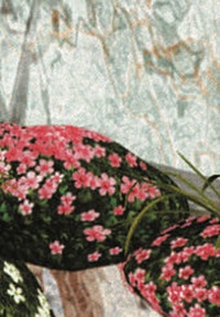 Enlarge image Cover: Somewhere else is the same place - edition fink