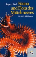 Cover: Fauna und Flora des Mittelmeeres - Seifert Verlag