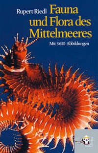 Abbildung von: Fauna und Flora des Mittelmeeres - Seifert Verlag