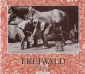 Cover: Der Freiwald - Bibliothek der Provinz