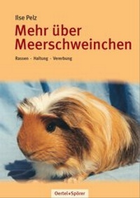 Abbildung von: Mehr über Meerschweinchen - Oertel u. Spörer