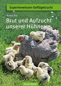 Cover: Brut und Aufzucht unserer H&uuml;hner - Oertel u. Sp&ouml;rer