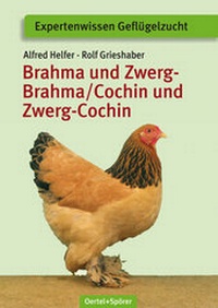 Abbildung von: Brahma und Zwerg-Brahma, Cochin und Zwerg-Cochin - Oertel u. Spörer