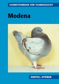 Enlarge image Cover: Modena - Oertel u. Spörer