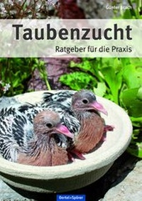 Abbildung von: Taubenzucht - Oertel u. Spörer