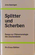 Cover: Splitter und Scherben - Graue Edition