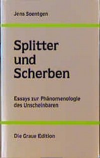 Enlarge image Cover: Splitter und Scherben - Graue Edition