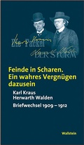 Cover: &raquo;Feinde in Scharen. Ein wahres Vergn&uuml;gen dazusein&laquo; - Wallstein