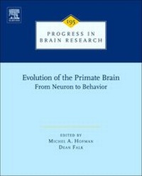 Abbildung von: Evolution of the Primate Brain - Elsevier