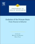 Cover: Evolution of the Primate Brain - Elsevier