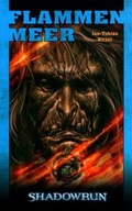 Cover: Flammenmeer - Ulisses Medien und Spiel Distribution GmbH