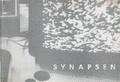 Cover: Synapsen - ein Video - RLI-Verlag / Verein f&uuml;r interdisziplin&auml;re Forschung und Praxis (ViF)