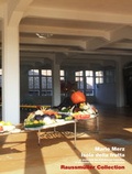 Cover: Mario Merz Isola della frutta - Raussm&uuml;ller Collection