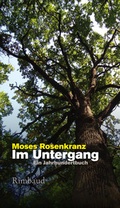 Cover: Im Untergang - Rimbaud Verlag
