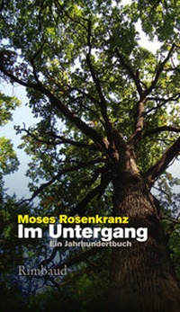 Abbildung von: Im Untergang - Rimbaud