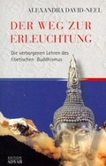 Cover: Der Weg zur Erleuchtung - Aquamarin