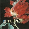 Cover: Tulpen - DomQuartier Salzburg