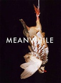 Cover: Shirana Shahbazi - JRP Editions SA