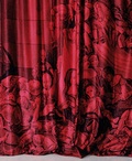 Cover: Markus Schinwald - JRP Editions SA