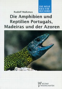 Abbildung von: Die Amphibien und Reptilien Portugals, Madeiras und der Azoren - Militzke Verlag GmbH