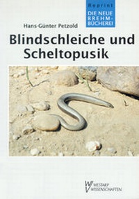 Abbildung von: Blindschleiche und Scheltopusik - Militzke Verlag GmbH