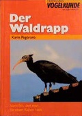 Cover: Der Waldrapp - AULA-Verlag